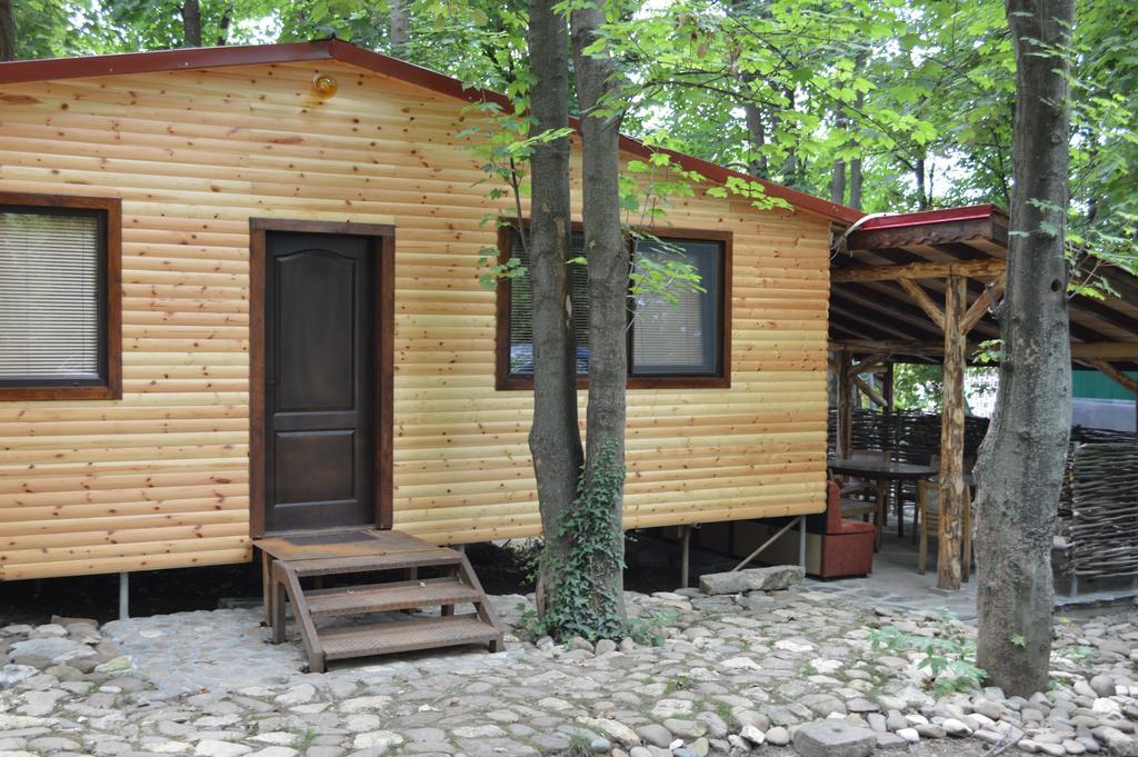 Hotel Grivitsa Pleven Habitación foto